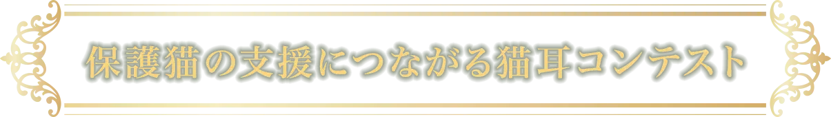 保護猫の支援につながる猫耳コンテスト