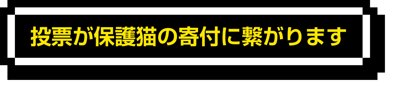 投票が保護猫への寄付につながります