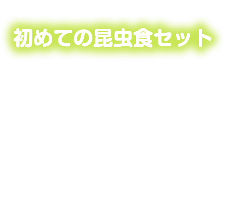 巣ごもりに！初めての昆虫食セット。香川県qed様、東京都あず様、群馬県まままーくん様、愛知県たまいちゃん様、埼玉県ゆう様