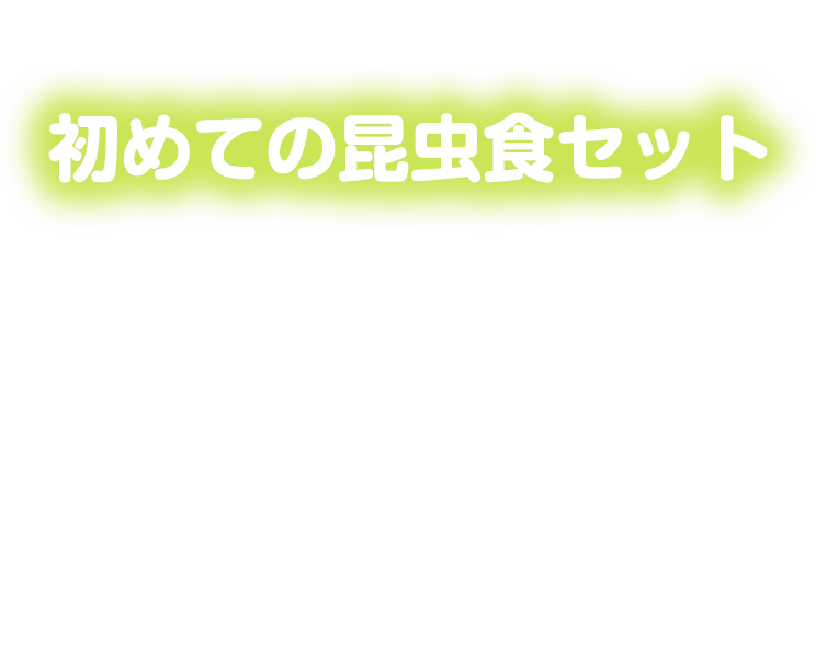 巣ごもりに！初めての昆虫食セット。香川県qed様、東京都あず様、群馬県まままーくん様、愛知県たまいちゃん様、埼玉県ゆう様