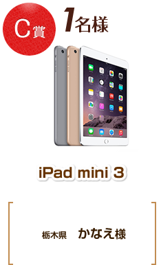 iPad mini 3