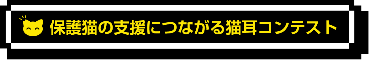 投票が保護猫の寄付に繋がります
